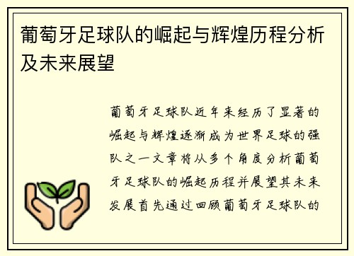 葡萄牙足球队的崛起与辉煌历程分析及未来展望