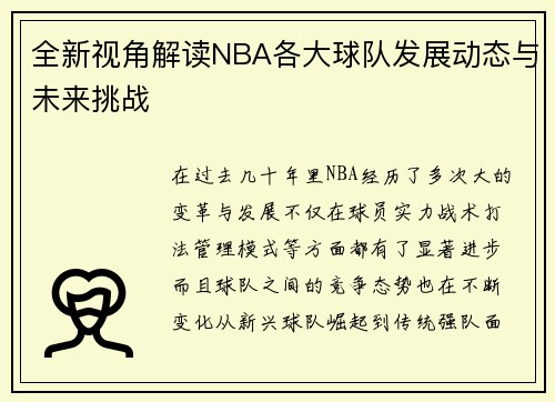 全新视角解读NBA各大球队发展动态与未来挑战